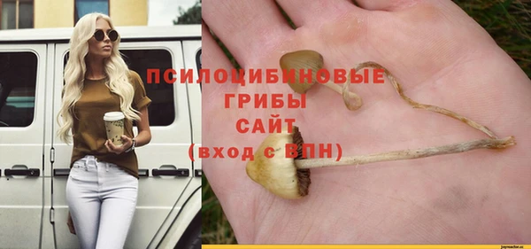 таблы Ивангород
