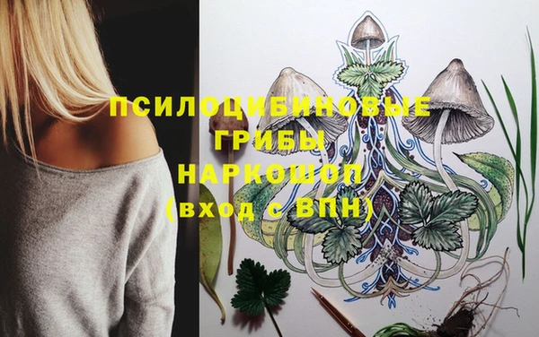 прущие крисы Пролетарск